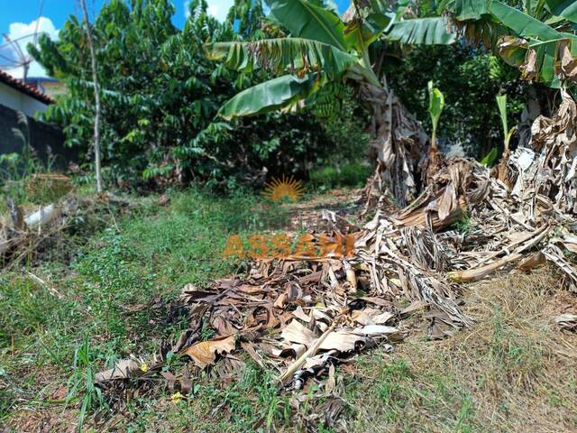 #4004 - Área para Venda em Itatiba - SP - 3