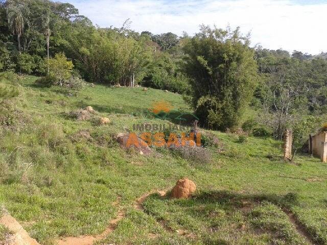 Fazenda-Sítio-Chácara, 6 hectares - Foto 4