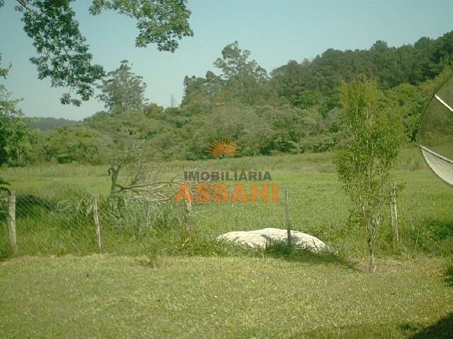 Fazenda à venda com 3 quartos, 1m² - Foto 8