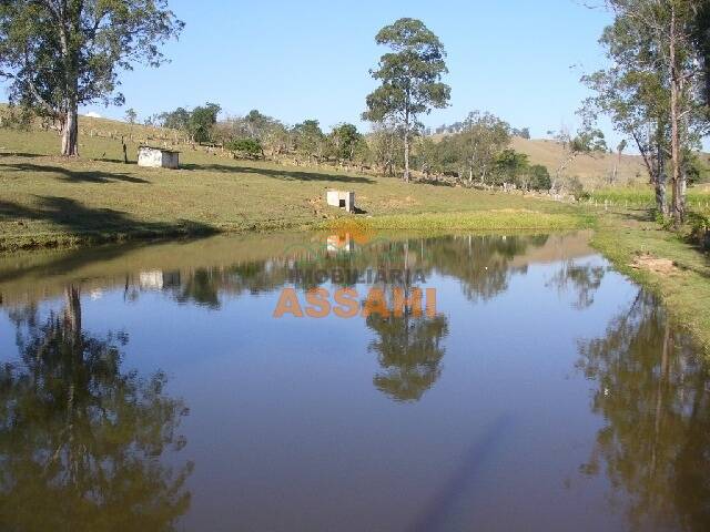 Fazenda à venda com 2 quartos, 1m² - Foto 6