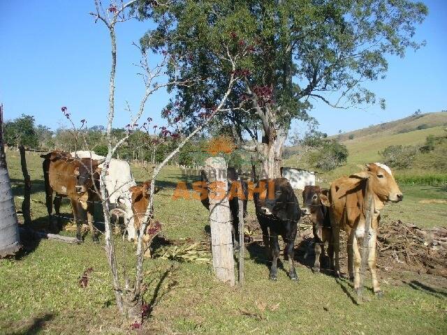 Fazenda à venda com 2 quartos, 1m² - Foto 7