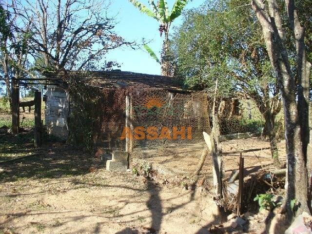 Fazenda à venda com 2 quartos, 1m² - Foto 18