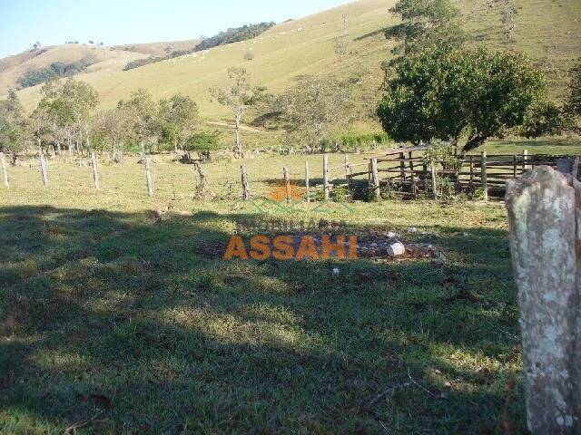 Fazenda à venda com 2 quartos, 1m² - Foto 32