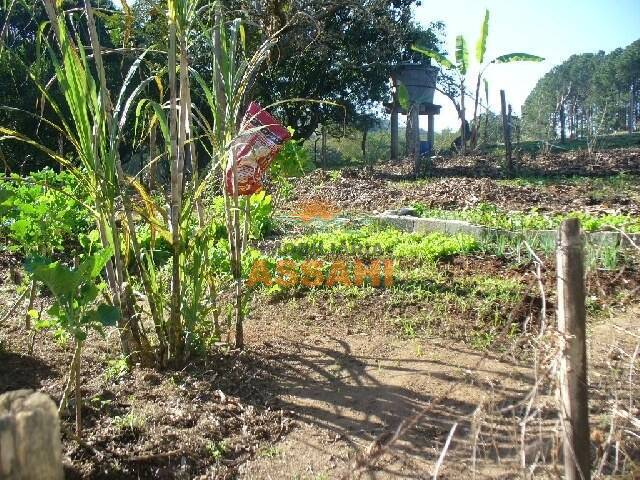 Fazenda à venda com 2 quartos, 1m² - Foto 33