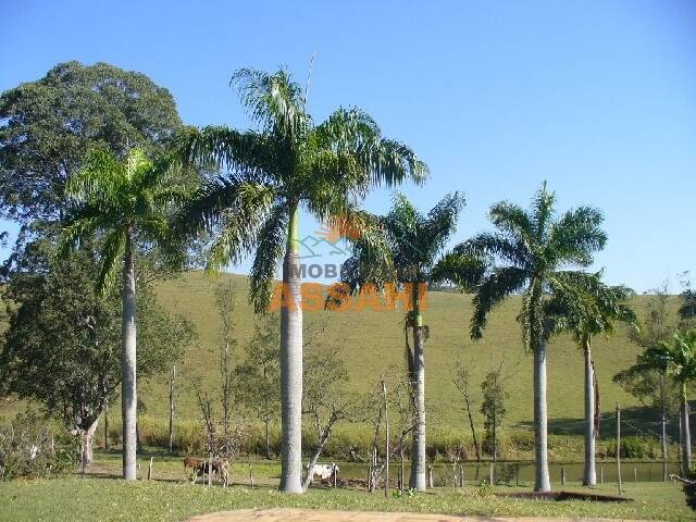 Fazenda à venda com 2 quartos, 1m² - Foto 35