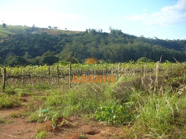 Prédio Inteiro à venda - Foto 3