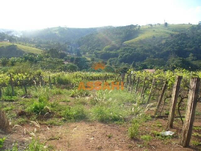 Prédio Inteiro à venda - Foto 6