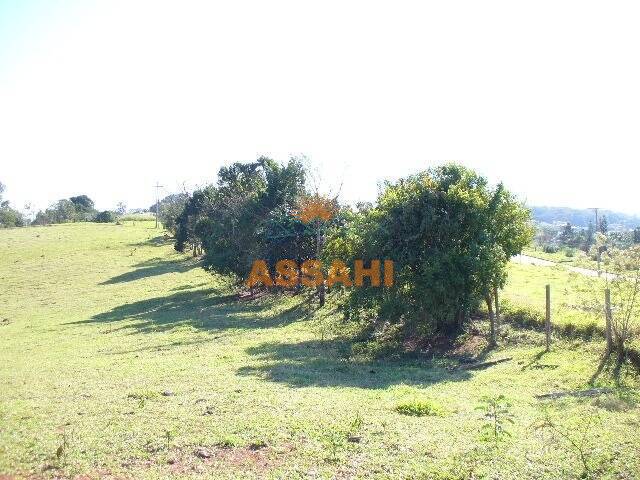 Terreno à venda, 20000m² - Foto 2